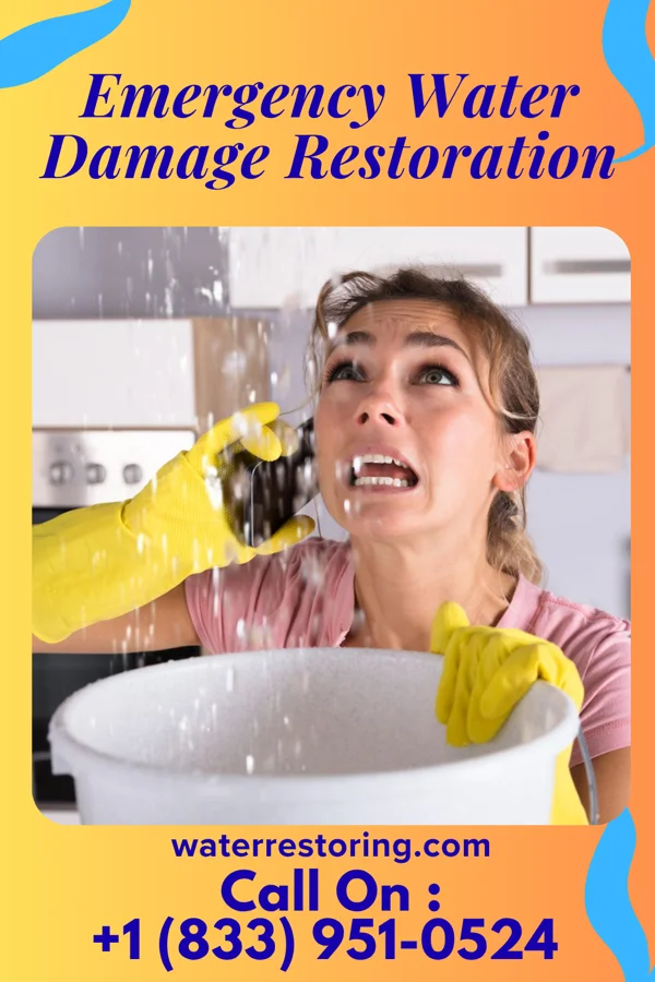 Emergency Water Damage Restoration in Elizabeth City, NC
