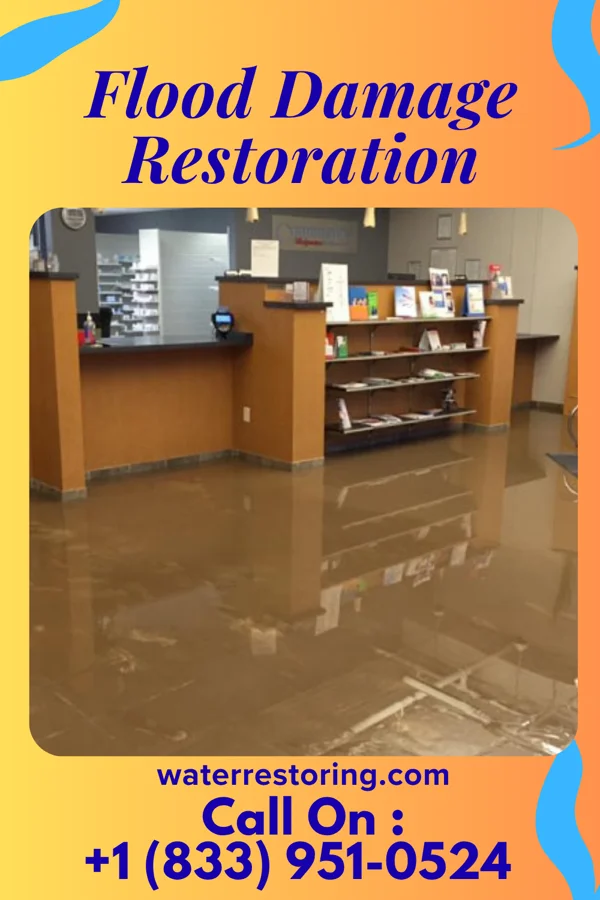 Flood Damage Restoration in Elizabeth City, NC
