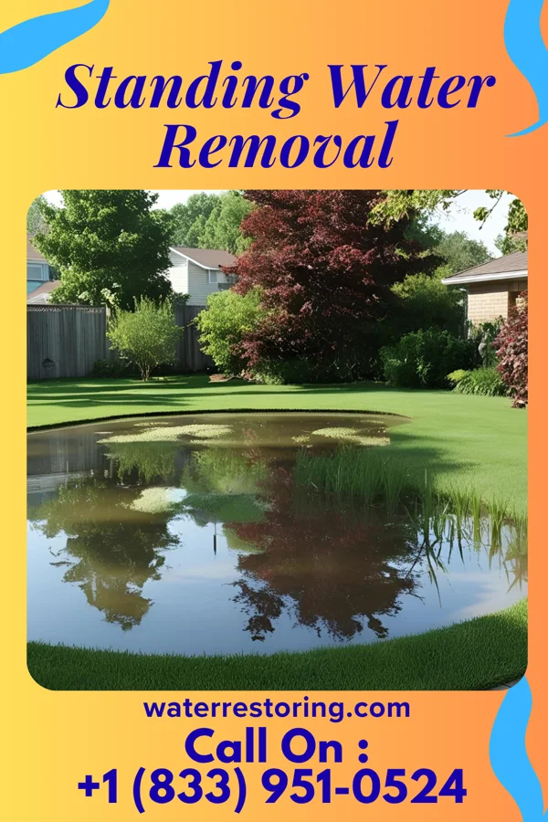 Standing Water Removal in Elizabeth City, NC